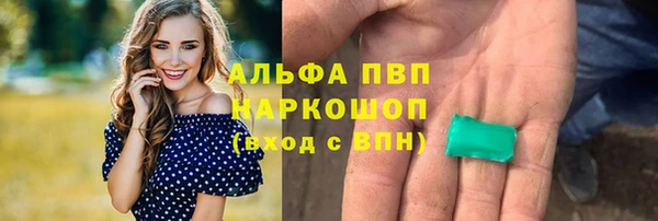 прущие крисы Магас