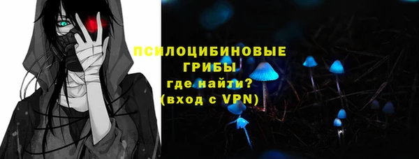стафф Майский
