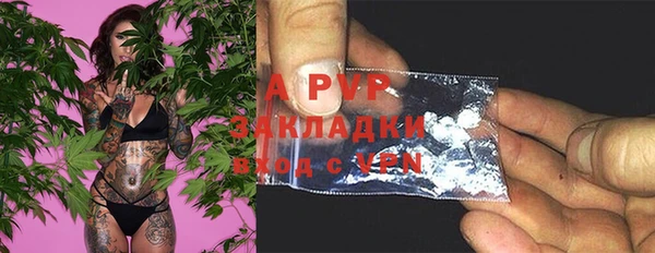 стафф Майский