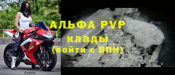 стафф Майский